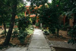 a street filled with lots of trees and bushes at Casona Puerto Dreams in Puerto Escondido