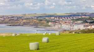 a green field with hay bales on a hill with a city at La Clé Anglaise - WIFI - PARKING - Balcon in Wimereux