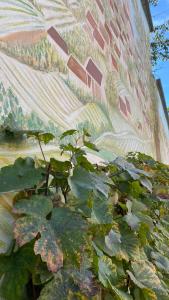 une plante avec des feuilles devant un mur dans l'établissement Domaine du Cellier de la Couronne, à Sézanne