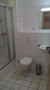La salle de bains est pourvue de toilettes, d'une douche et d'un lavabo. dans l'établissement Familienwohnung-Harbour-View, à Orth