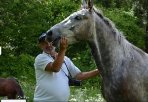 Um homem está ao lado de um cavalo. em Guesthouse Arber em Peshkopi