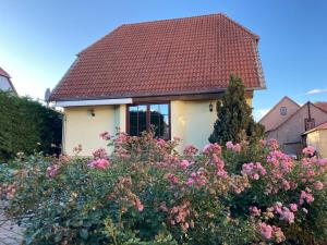 Zahrada ubytování Ferienwohnung Am Weißfrauenbach + 8 fotografií