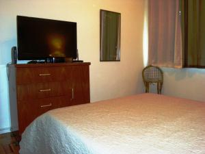 1 dormitorio con 1 cama y TV de pantalla plana en Apartamento Figueiredo Magalhães, en Río de Janeiro