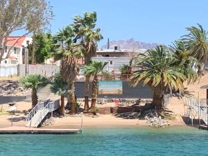 a beach with palm trees and a boat in the water at Relaxing River Family Retreat in Bullhead City