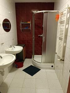 a bathroom with a shower and a sink at Hostel Sunrise Liwska in Warsaw