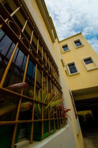 a plant on a balcony of a building at Hotel La Pequena Valencia in Valencia