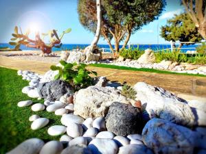 a rock garden with rocks and plants on the grass at Boutique seafront apartment in Saint Amvrosios