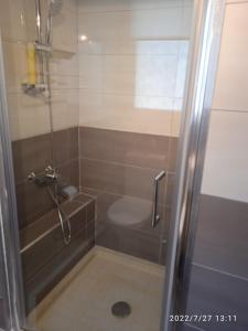 a shower with a glass door next to a toilet at Les Oliviers de Camargue in Salin-de-Giraud