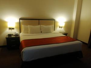 Postel nebo postele na pokoji v ubytování Hotel La Mina Parral