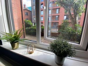 zwei Topfpflanzen, die auf einem Fensterbrett sitzen in der Unterkunft Lovely Apt in City Centre Leeds in Leeds