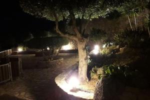a tree with lights in a garden at night at Peaceful Villa With Nice View in Agios Nikolaos