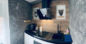 uma cozinha com um balcão e um micro-ondas em Bubinga em Kruševac