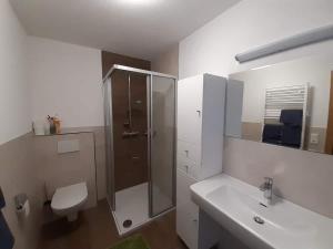 ein Bad mit einer Dusche, einem Waschbecken und einem WC in der Unterkunft Großzügiges Apartment Georg Mayrhofen Barrierefrei in Hollenzen