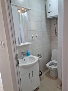 a bathroom with a sink and a toilet at HM Apartmani in Bar