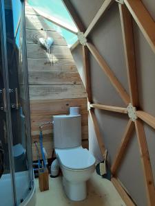 a bathroom with a toilet in a wooden wall at A l'aube des sens in Bailly-le-Franc