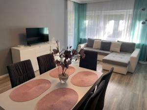 a dining room table with chairs and a living room at Family Apartment in Karlsruhe
