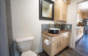 a bathroom with a toilet and a sink and a mirror at Downie Cottage by Revelstoke Vacations in Revelstoke