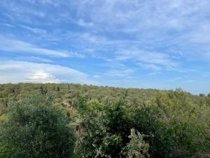 Blick auf einen Hügel mit Bäumen und einem blauen Himmel in der Unterkunft Rez de Jardin en pleine nature in Ventabren