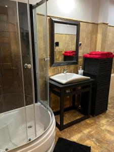 ein Bad mit einer Dusche, einem Waschbecken und einem Spiegel in der Unterkunft Apartament Centrum-Zwycięstwa in Gliwice