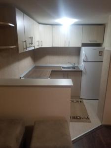 eine kleine Küche mit Spüle und Kühlschrank in der Unterkunft Prenociste Lux in Kragujevac