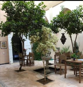 two trees in a room with tables and chairs at Hostel Laksour in Marrakesh