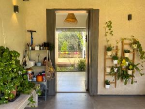 an open door to a room with potted plants at חופשה בחורשה in Sha'al +42 photos