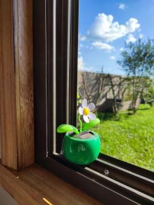 Un jarrón verde con una flor en él sentado en una ventana en Tiny House Nativa en Montecarlo