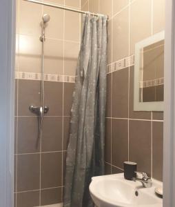 La salle de bains est pourvue d'un rideau de douche et d'un lavabo. dans l'établissement Studio à deux pas des étangs, à Peyriac-de-Mer