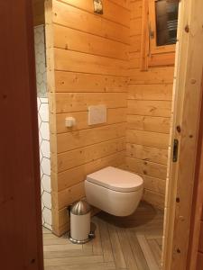 een badkamer met een toilet in een houten muur bij Chalet Ons Oekje in Vrouwenpolder
