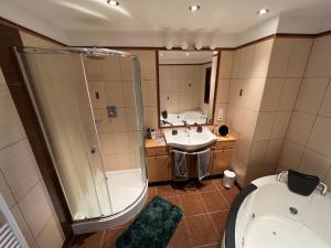 a bathroom with a shower and a toilet and a sink at The Old town's apartment in Prague