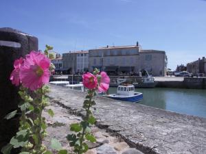 een roze bloem op een muur naast een waterlichaam bij Studio "Palombe" dans résidence avec piscine in Saint-Martin-de-Ré