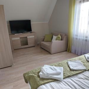 a living room with a couch and a television at Apartamenty Pod Magnolią in Białowieża