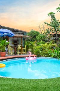 una piscina con un juguete rosa en el agua en Cacao Lodge and Tours, en Fortuna