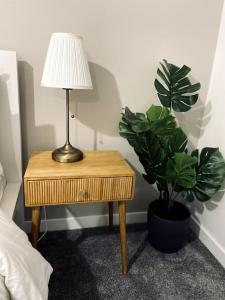 una lampada su un tavolo accanto a una pianta in vaso di Stunning 2-Bed Apart in the heart of Aberdeen* ad Aberdeen