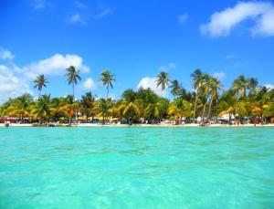 a view of a beach with palm trees and the ocean at Anais location 971 Guadeloupe in Le Gosier