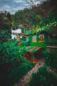 ein Haus mit grünem Efeu nebenbei in der Unterkunft Lush Atitlán in San Marcos La Laguna