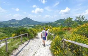 a man walking down a dirt road with mountains in the background at Stunning Apartment In Abano Terme in Abano Terme