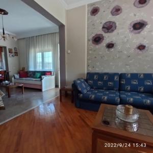 Posezení v ubytování Kolhida home