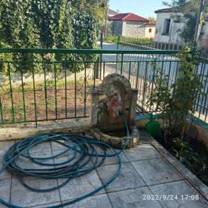 Fotografie z fotogalerie ubytování Kolhida home v destinaci Kilkís