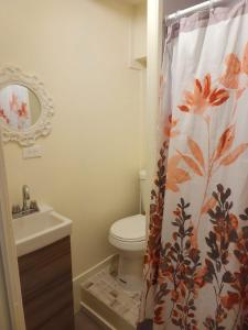 a bathroom with a toilet and a shower curtain at Pit Stop Hostel in Aguada