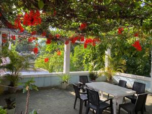 a table and chairs under a tree with red flowers at Hostal Cumbres del Volcan Flor Blanca in San Salvador