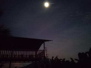 a group of people standing under the moon at night at Hostal Bullshark in Cuatro Esquinas