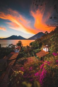 a sunset over a body of water with pink flowers at Lush Atitlán in San Marcos La Laguna