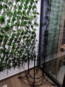 uma planta sentada num suporte ao lado de uma parede em Hermoso Departamento completamente equipado em Colonia Mariano Roque Alonso