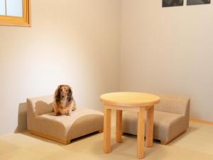 a dog sitting on a chair next to a table at MIMARU SUITES Tokyo ASAKUSA in Tokyo