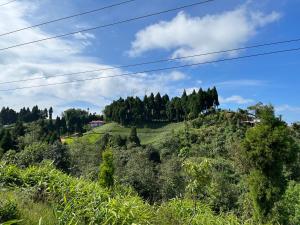 Imagen de la galería de The Ridge Homestay, en Suryodaya 18 fotos más