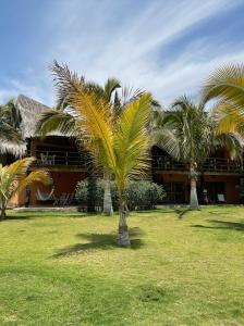 um grupo de palmeiras em frente a um edifício em La Casa de Pitty em Máncora