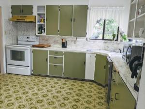 Kuchnia lub aneks kuchenny w obiekcie 4 Elements House:Central, Views-Every Rm, AC, Pets