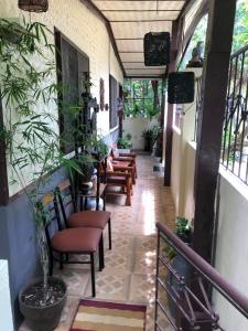a corridor of a restaurant with chairs and plants at Hiraya Homestay Coron in Coron