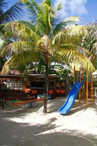 um parque infantil com um escorrega azul ao lado de uma palmeira em Hibiscus Boutique Hotel em Pereybere